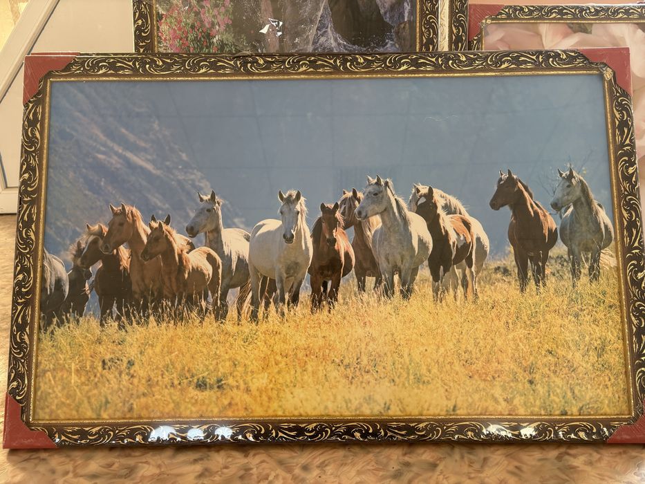 Картины новые в упаковках