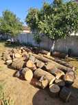 Lemne foc boci, 8 metri steri - 1000 lei