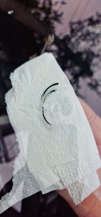 Reparații fisuri parbrize - Drobeta Turnu Severin