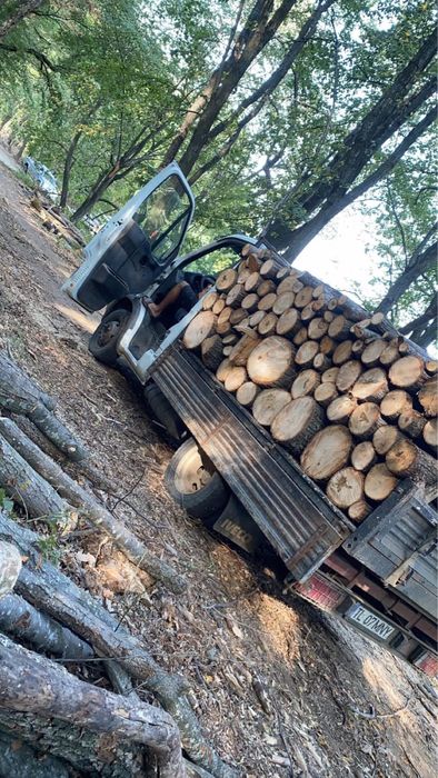 Vand SPALIERI de salcam si lemn de foc