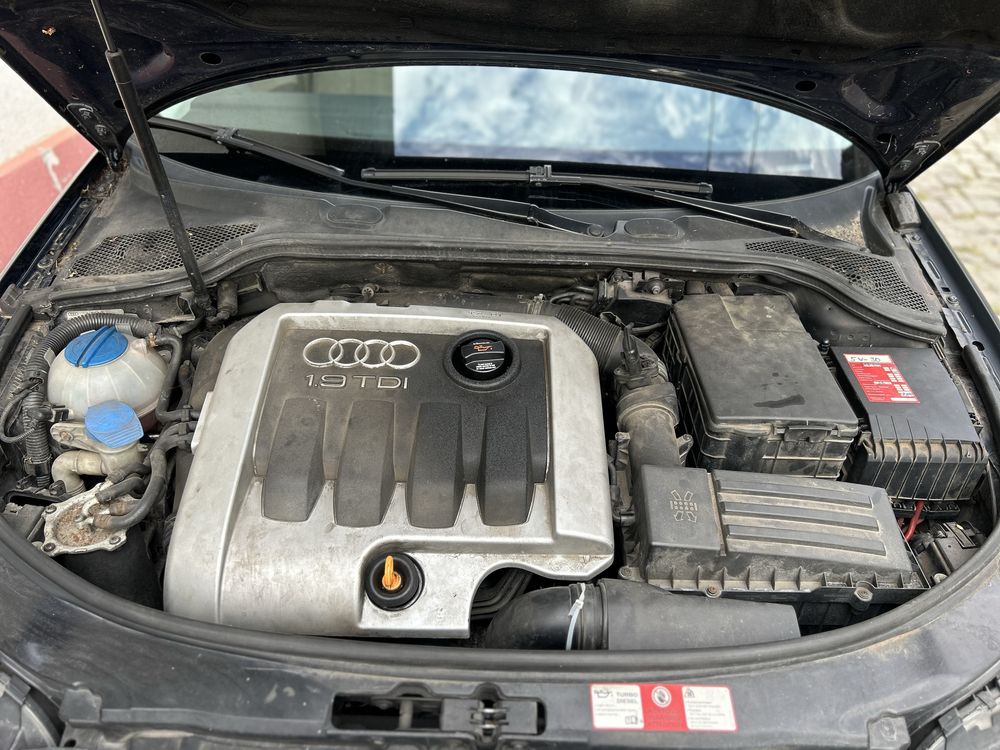 Audi A3 8P S-Line • 1.9 TDI • Sportiv