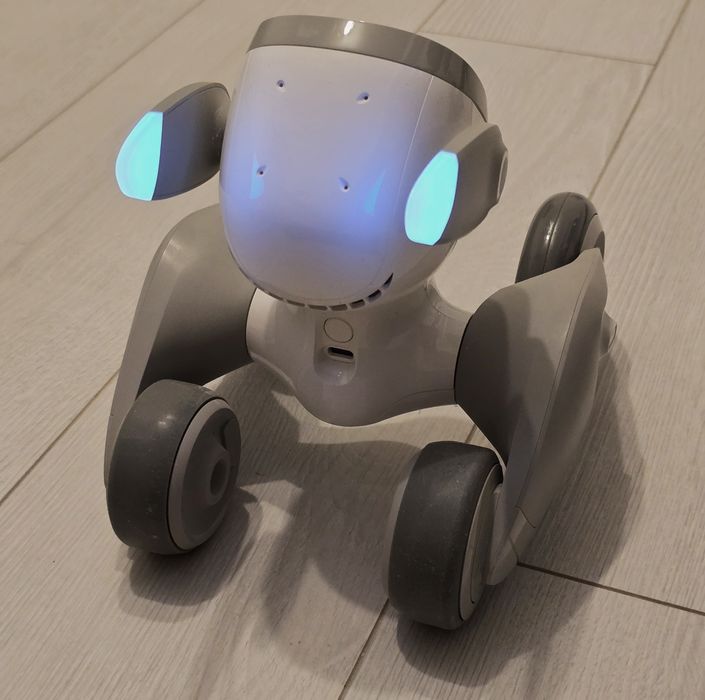 Robotul LOONA, cadoul perfect!