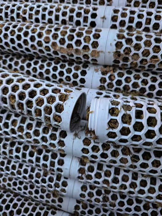 Гул учун устунча Опора для растений лиана ustun moh bilan