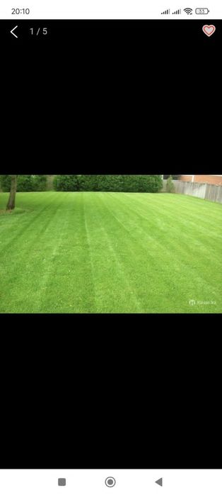 Обрезка плодовых деревьев уборка