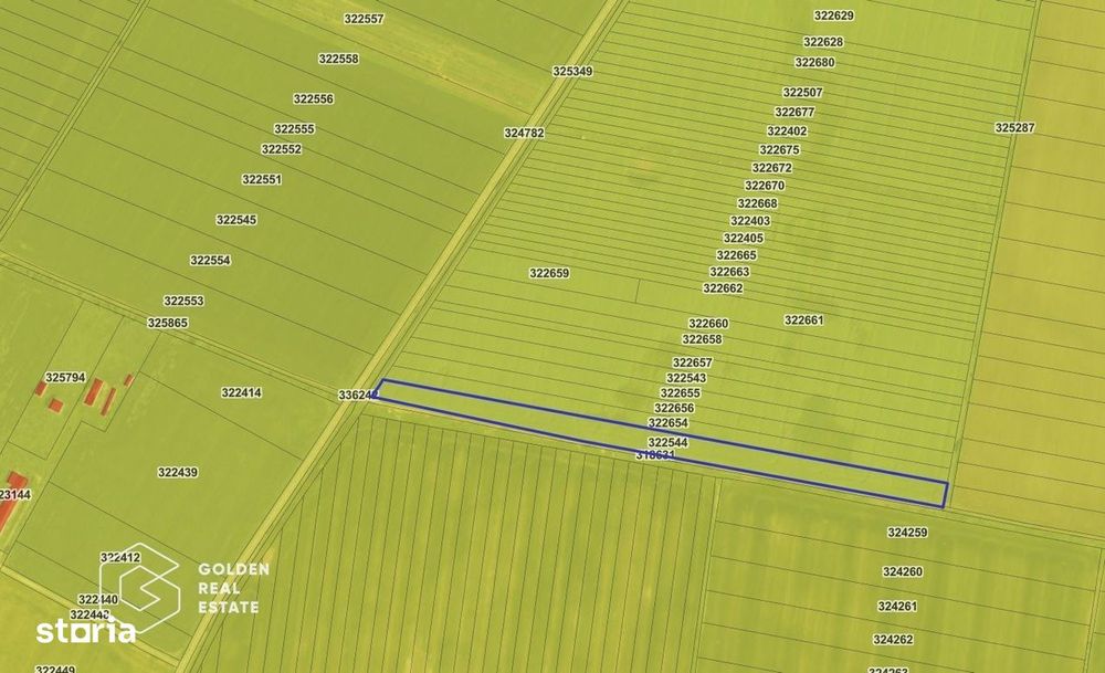 Teren agricol, 14 630 mp, Vladimirescu, ZERO COMISION