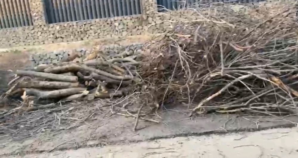 Отын сатылады, срочно