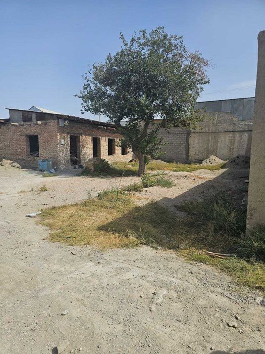 8 сотихли  ер участкаси сотилади,  кунжи калла