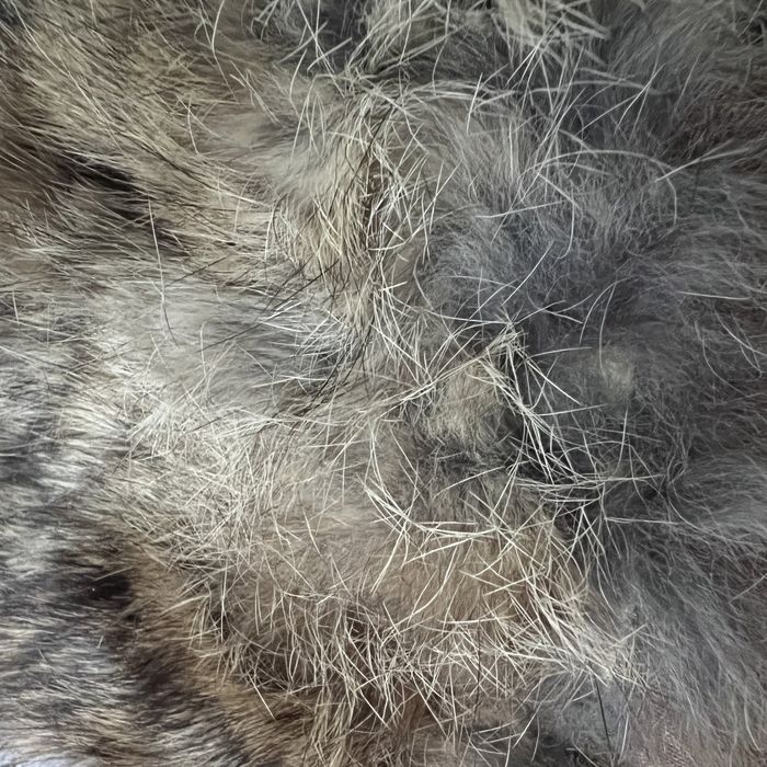 Caciula de blana ruseasca - bebelusi