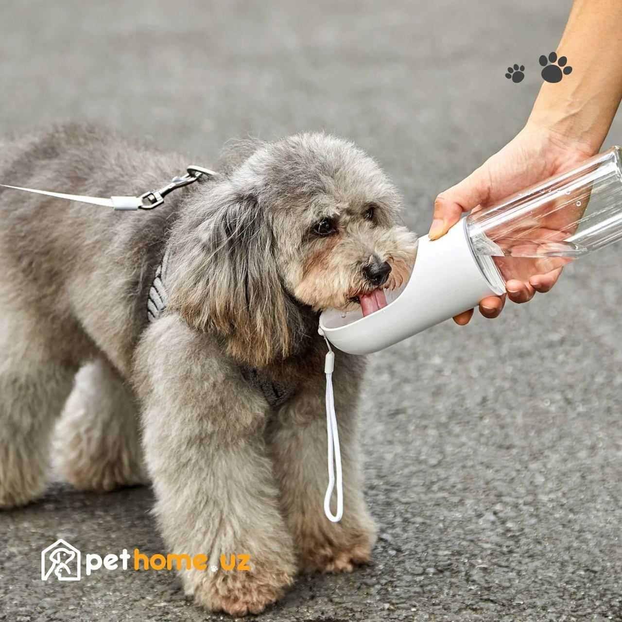 Дорожная поилка для животных Xiaomi Petkit Eversweet Travel