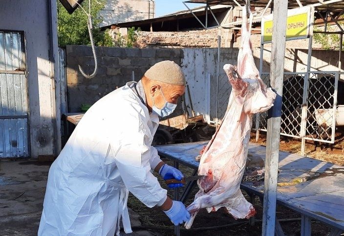 Кой сою (касапшы)