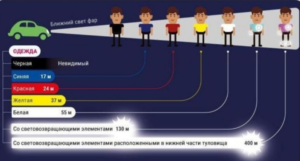 Светоотражающая лента жылкы, лошадь, КРС