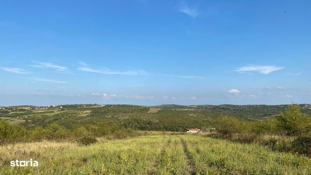 Teren intravilan, Saldabagiul de Munte