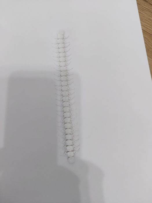 Сороконожка на 3д принтере