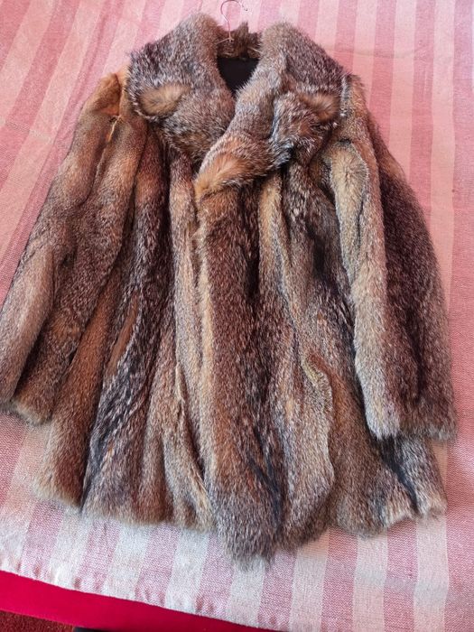Blana naturala, stare perfecta!