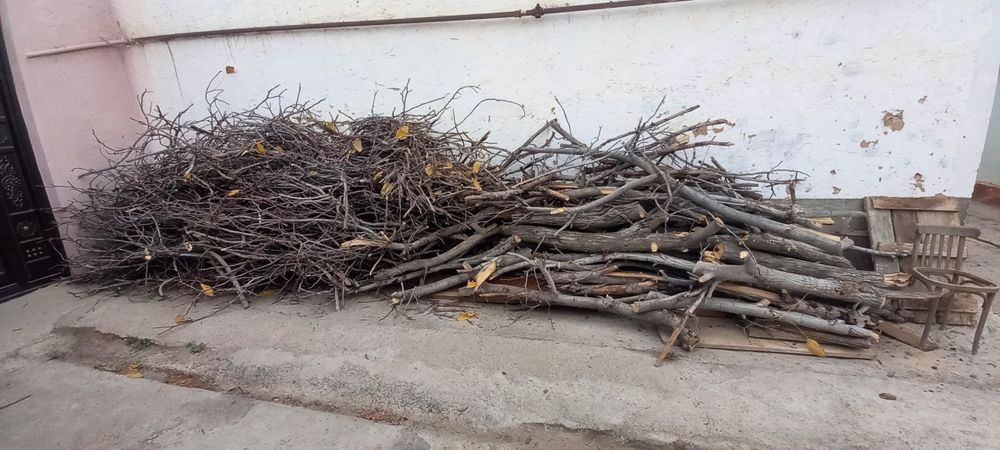 Продам дрова от орехового дерева и остальное