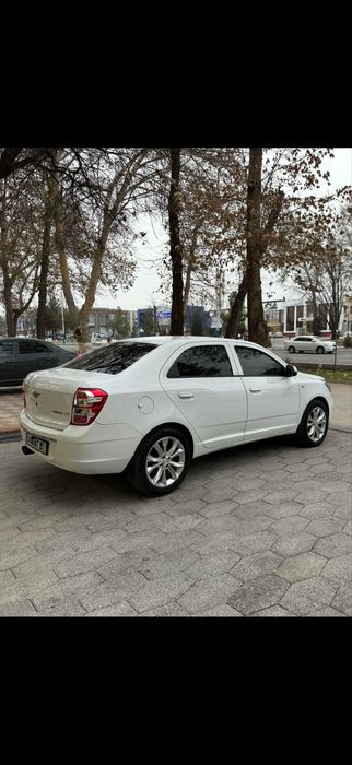 Cobalt Gx-style 4 poz