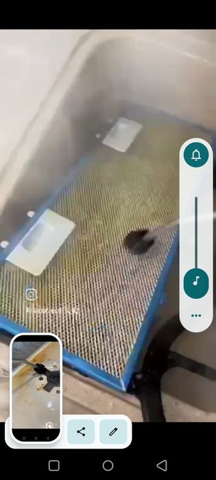 Parastistitil tozalash oson