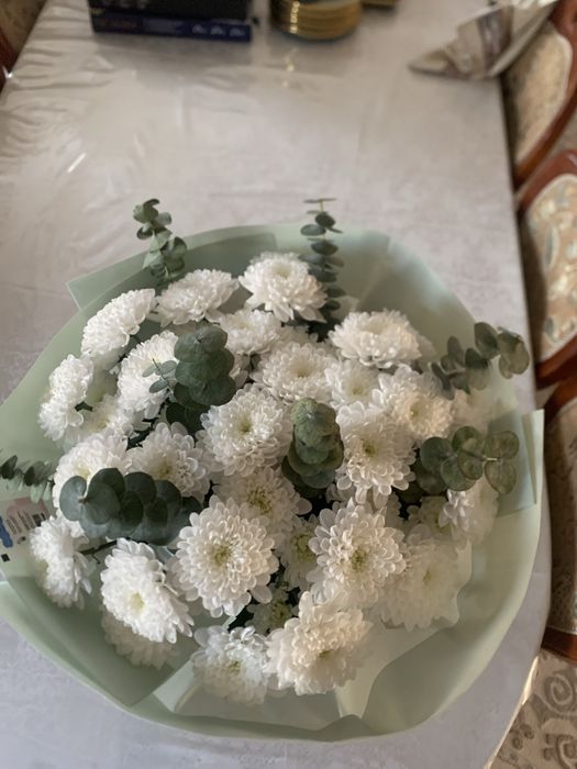 Продам цветы свежые