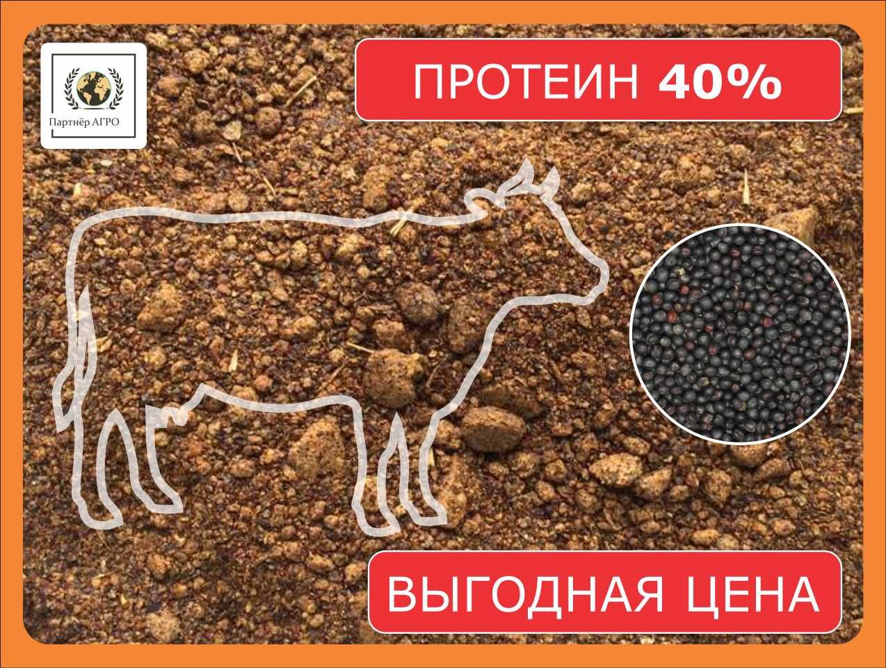 Шрот (жмых) рапсовый, АСВ 40% в Кокшетау
