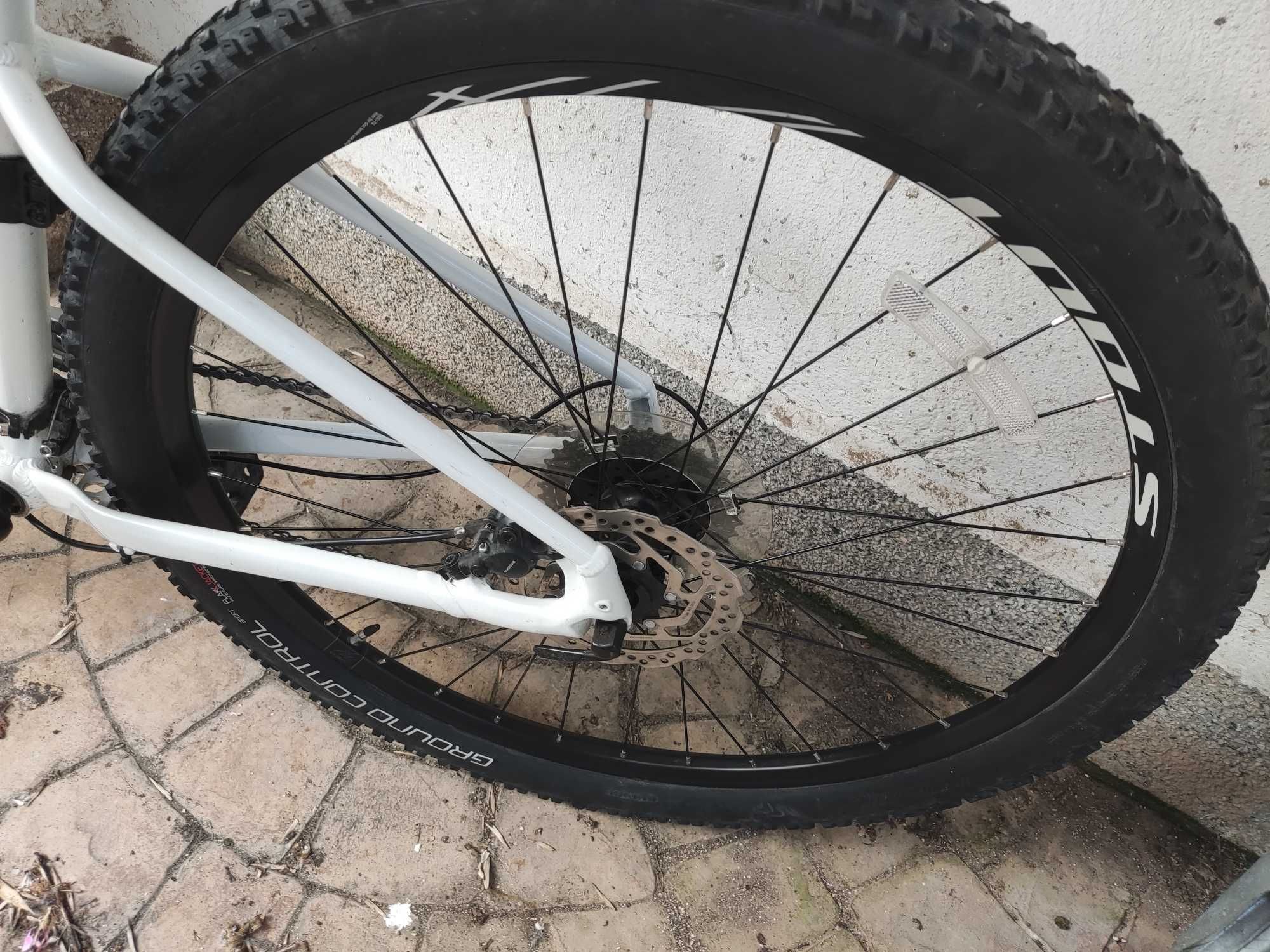 Велосипед 29 Specialized rockhopper , M размер