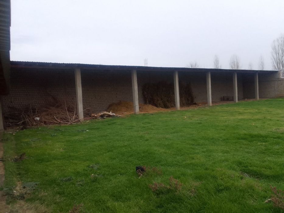 Xovli yer srochna sotiladi!!!