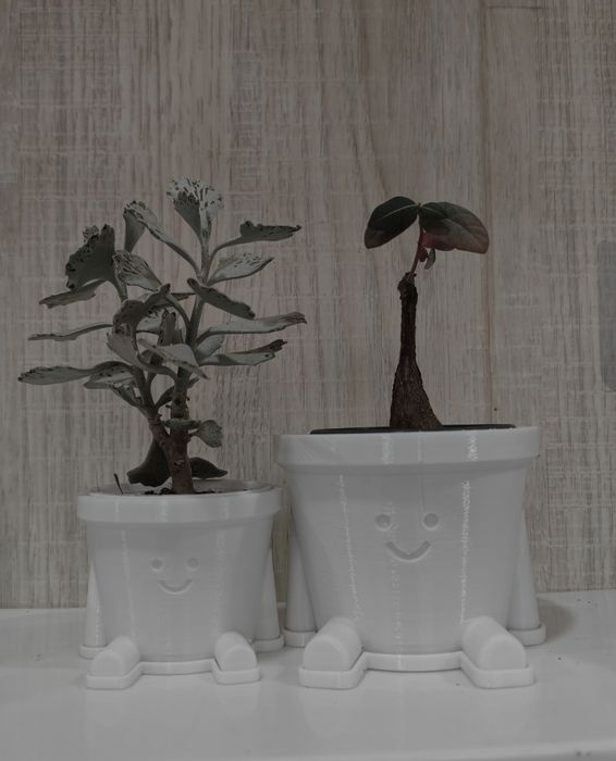 Стильные и современные вазы и горшки для ваших растений!