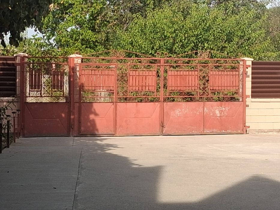 Porți auto și  una pietonala