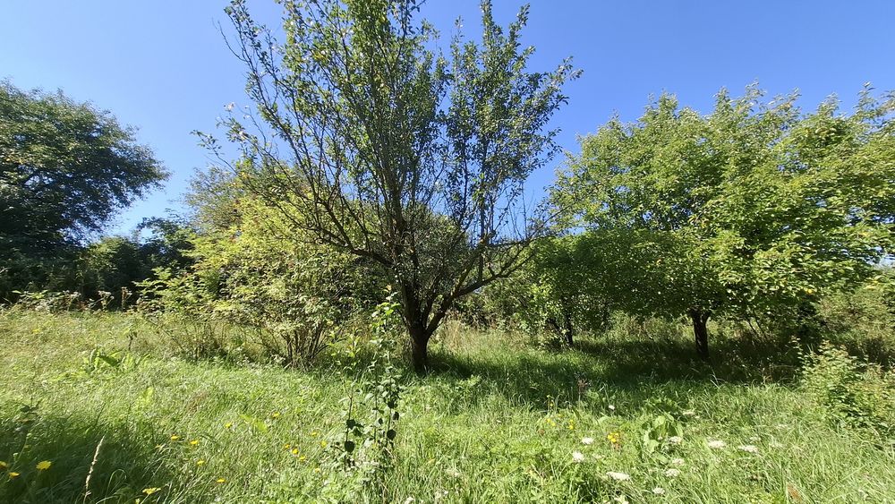 Vând teren cu o mică căsuță în Bărăi
