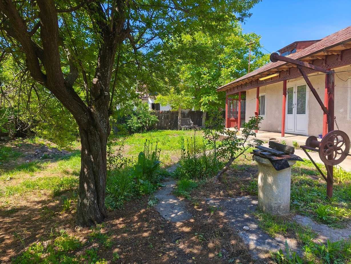 Teren 1800mp si casa Letca Noua