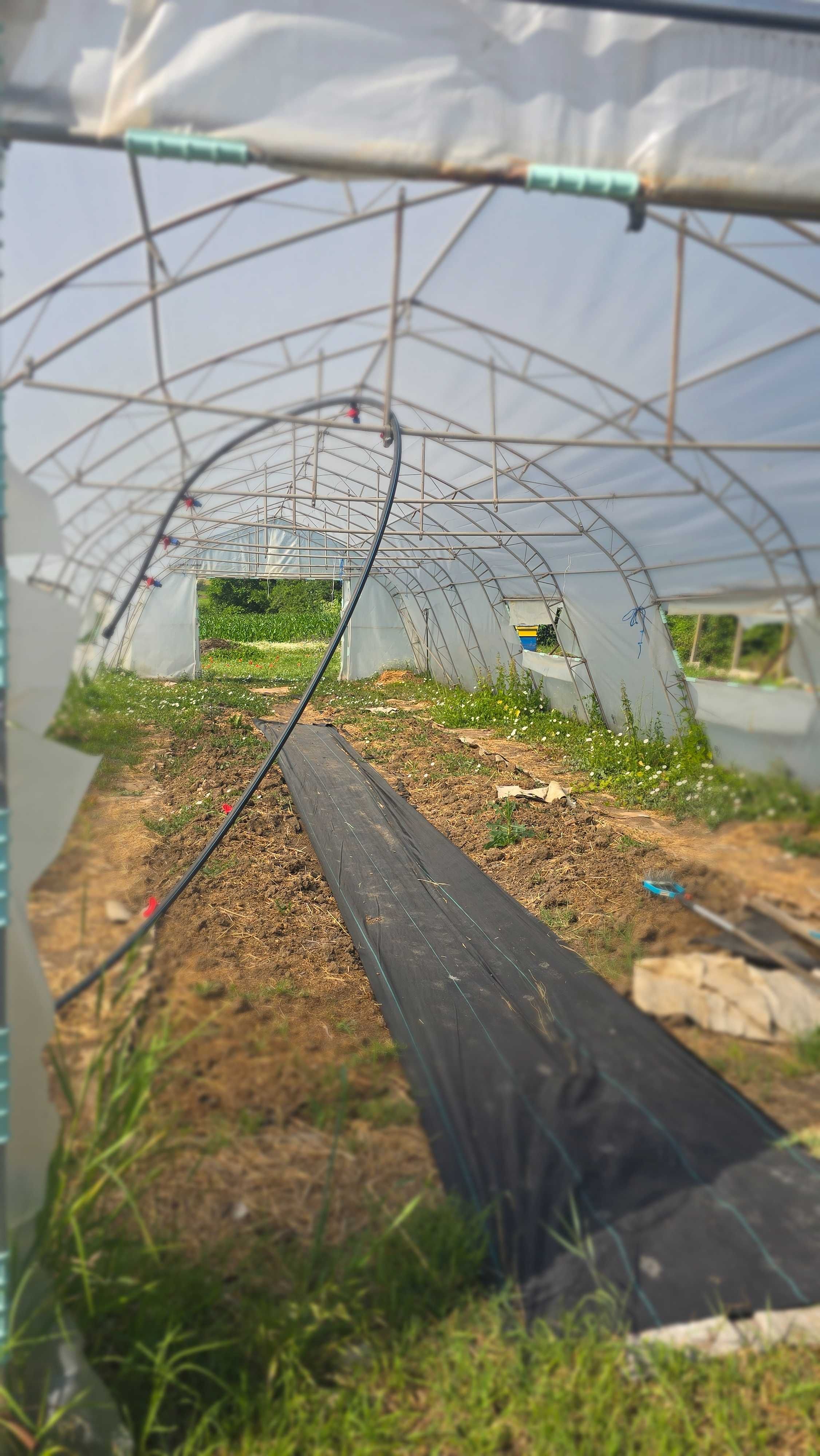 Продавам парници в отлично състояние, спешно!