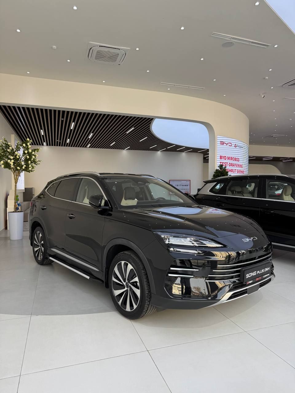 BYD Song Plus Chempion gibrit