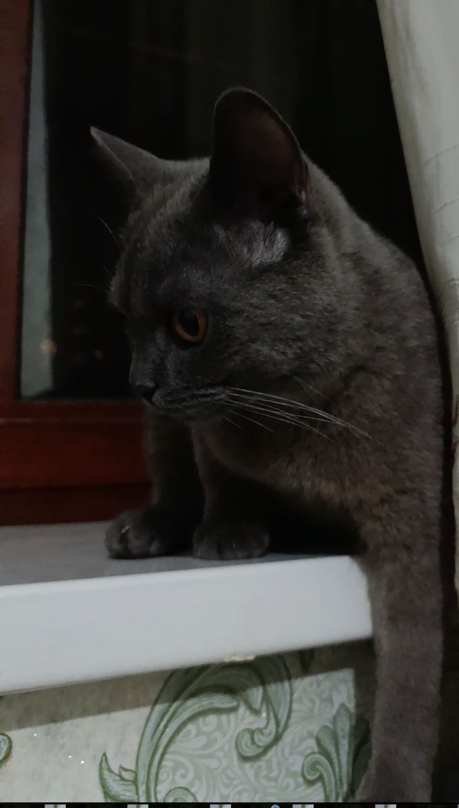 Zoti toza soğlom ,masaj qiladi