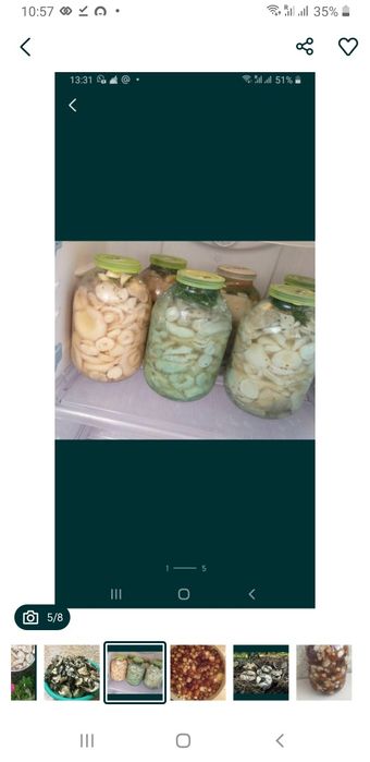 Грибы грузди соленые