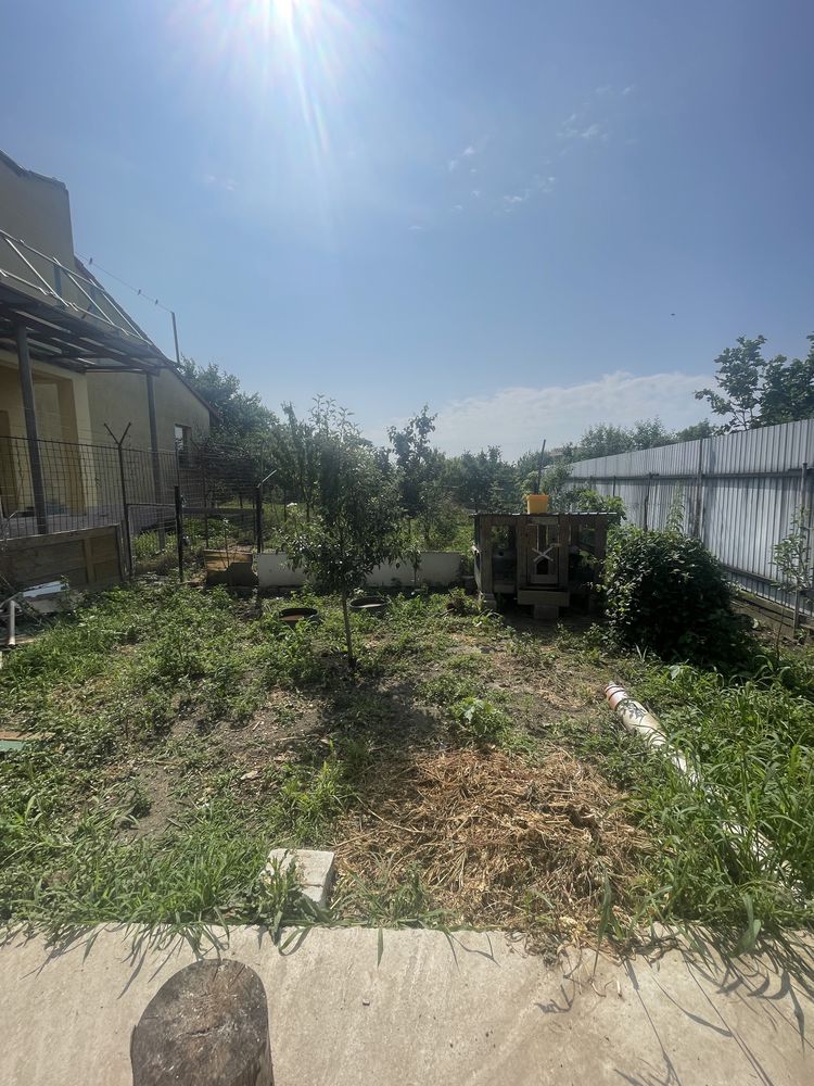 Vand casa in Ciacova, 2 minute de mers pe jos de centru