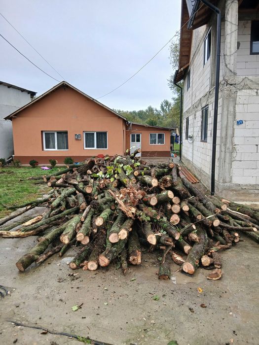 Vand lemne de foc esență tare, 4 m3 Județul Prahova
