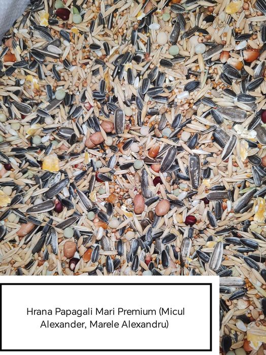 Hrana Peruși,Nimfe Canari,Exotic,Indigen,Papagali Mari