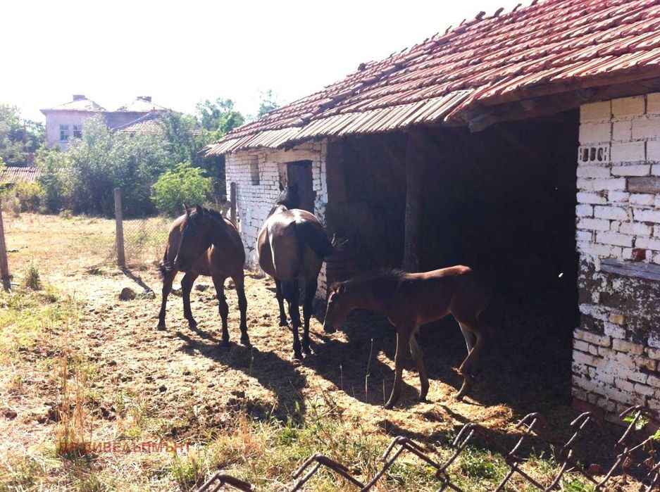 Дава под Наем КЪЩА
област Хасково, с. Каменна река, В Селото