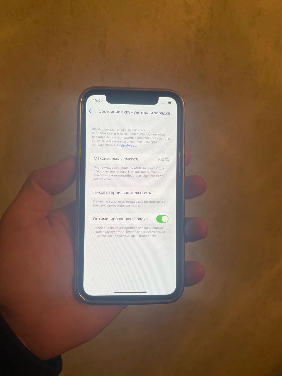 IPhone X 256gb 100%