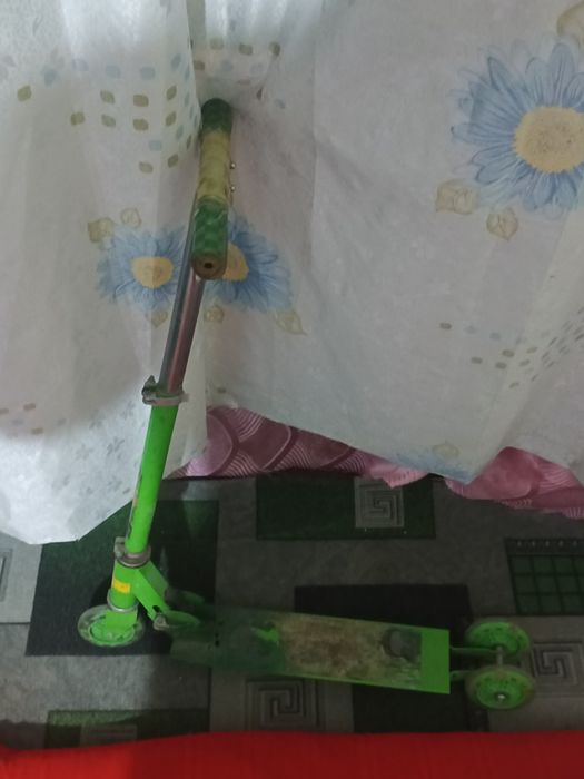 Samakat 2 ta qora va yashil