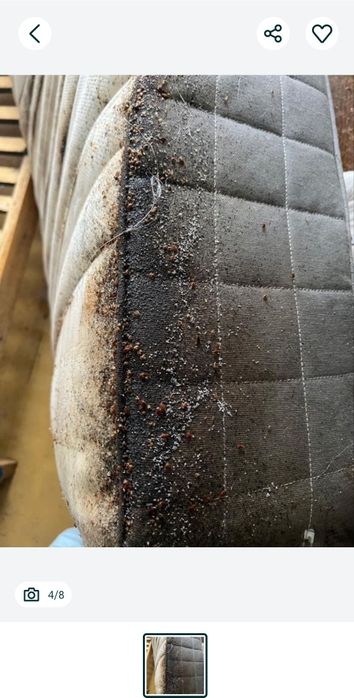 Уничтожение клопов и грызунов и.т.д