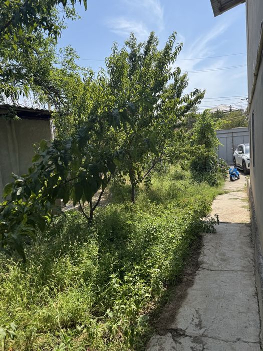 Дача сотилади сой буйида  жойлашган 25 сотикли дача сотилади