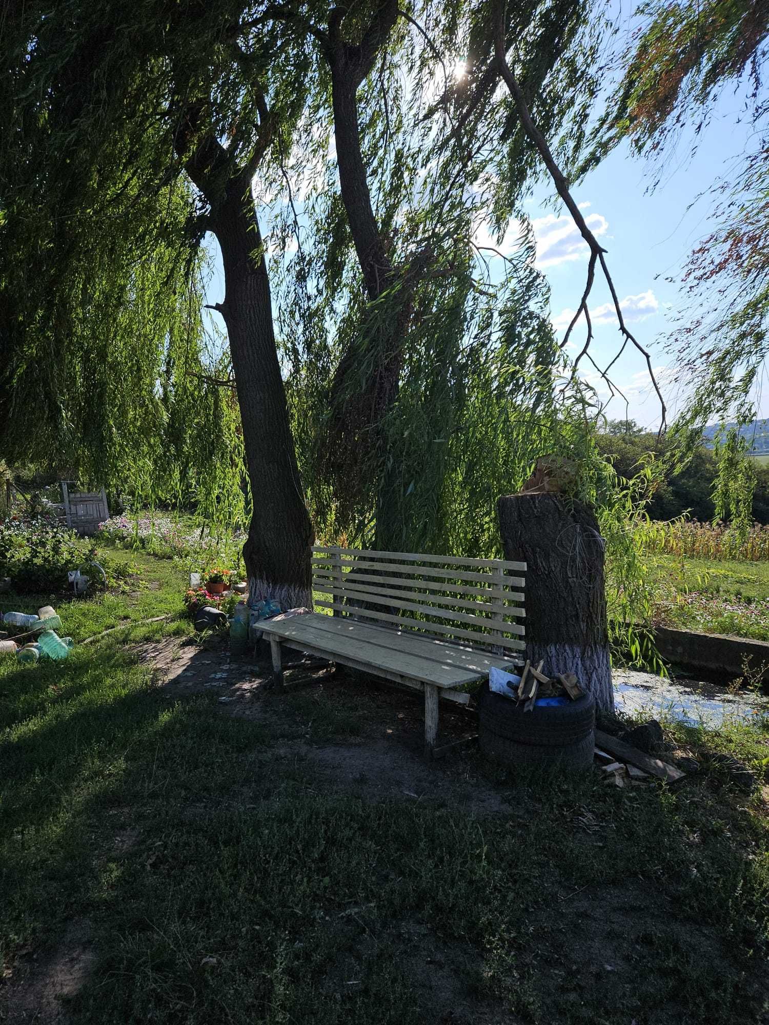 Teren Agricol Extravilan 2.83 ha Gura Bustii Vaslui
