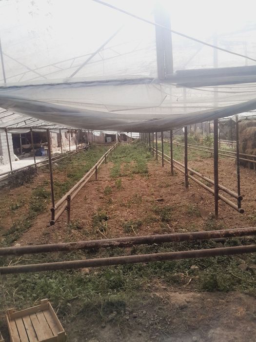 Teplitsa sotiladi продаём теплица