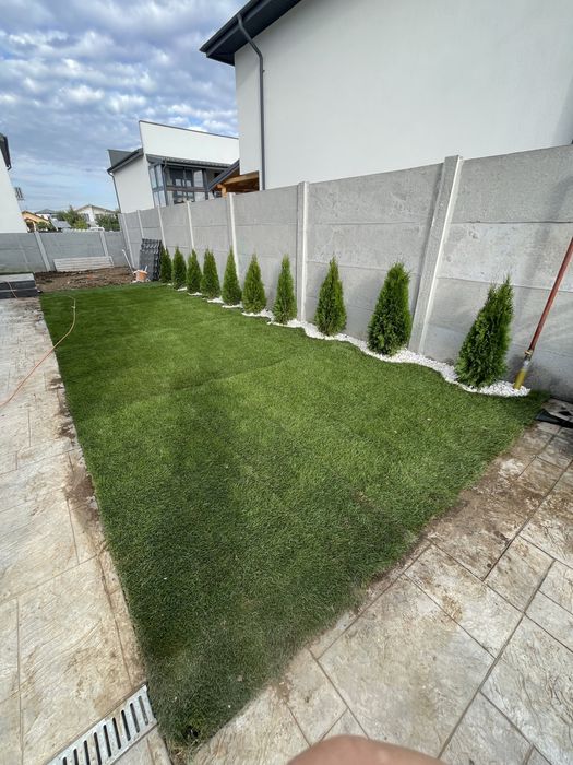 Gazon rulou si plante ornamentale