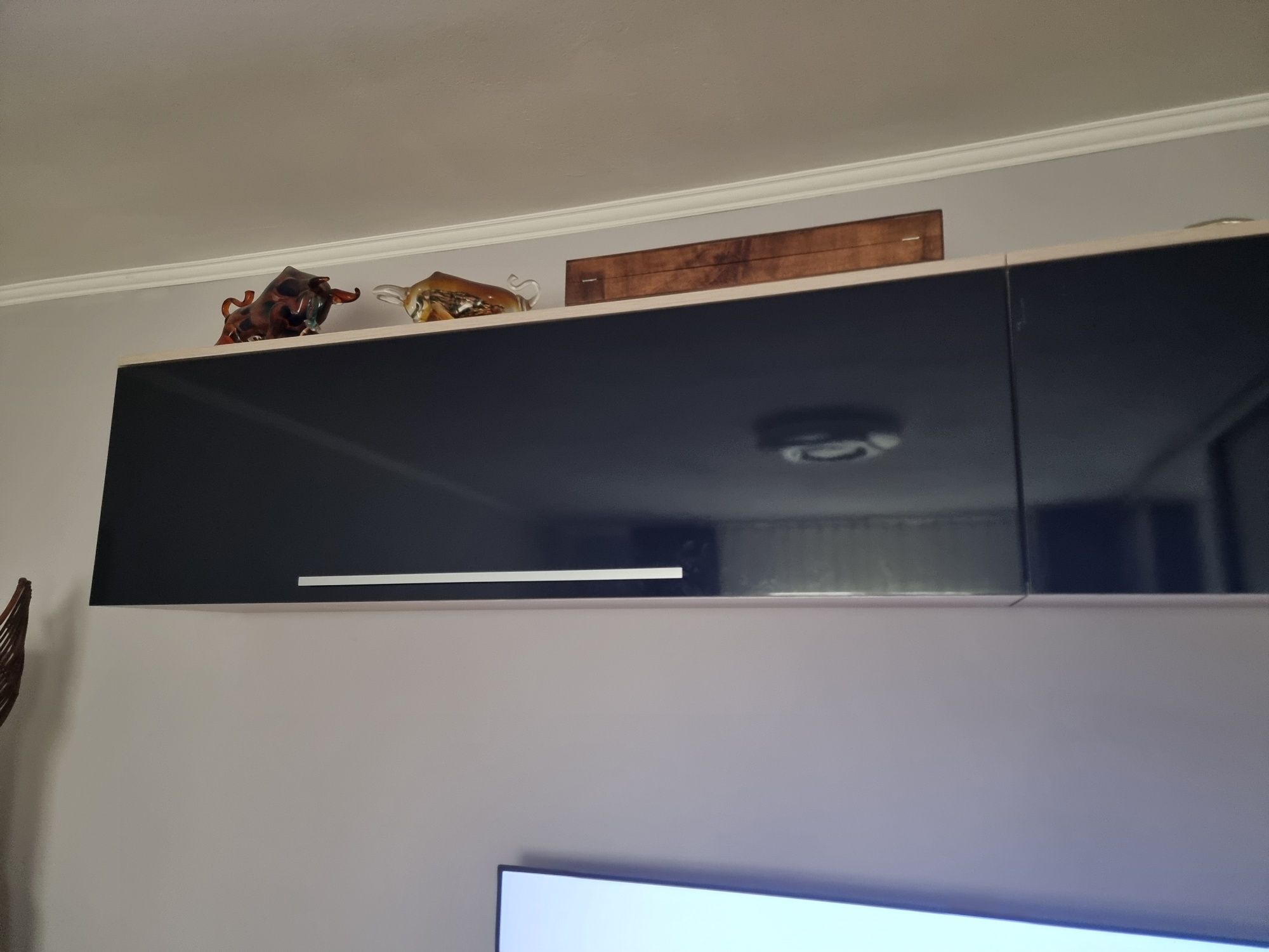 Living,sufragerie Casa Rusu,,mobila modulara,module suspendate,dulap