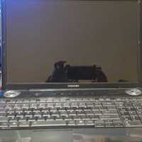 Laptop/notebook Toshiba Satellite A300-20P