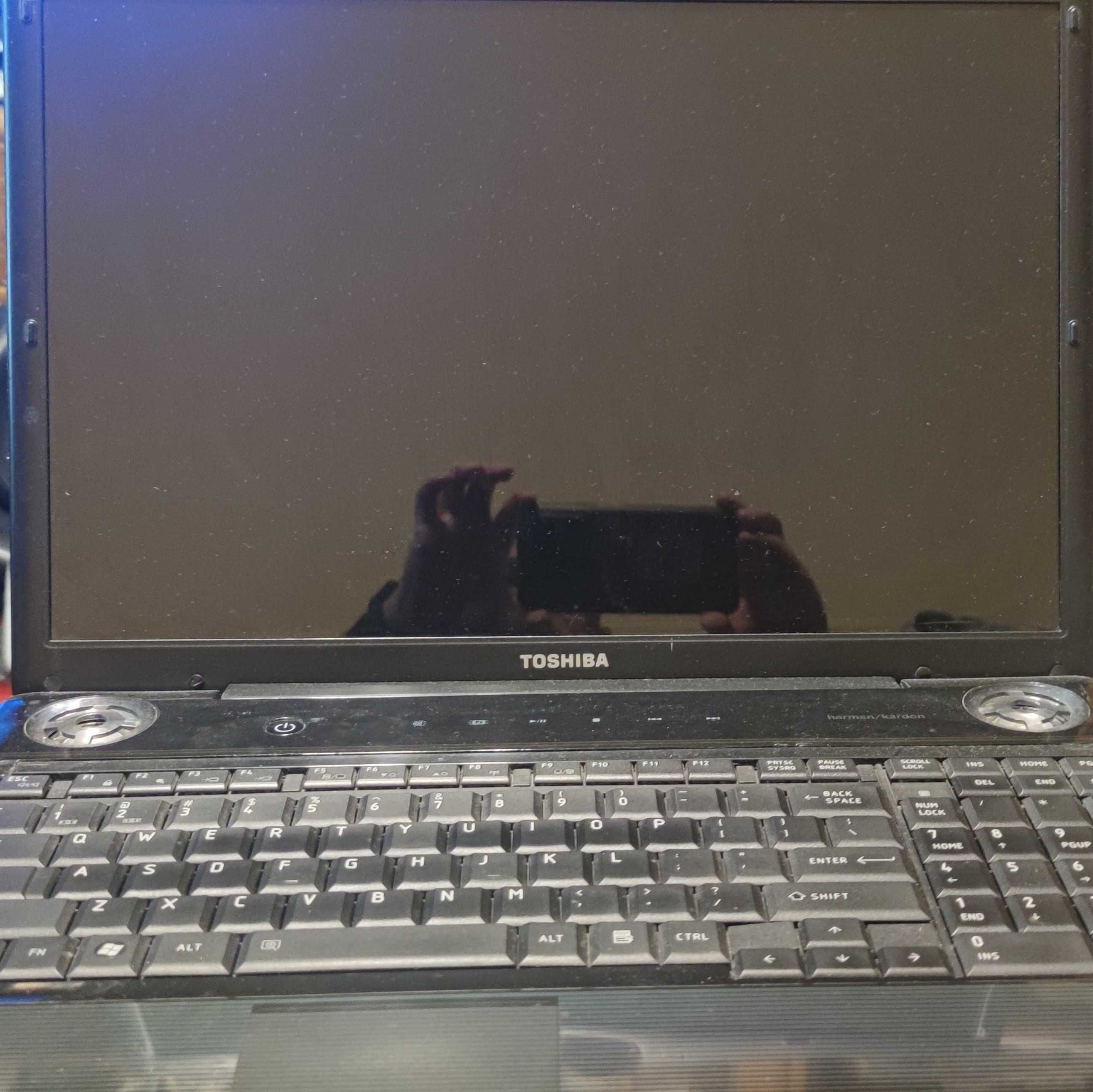 Laptop/notebook Toshiba Satellite A300-20P