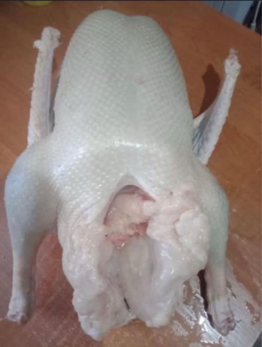 Гусей продам тушками