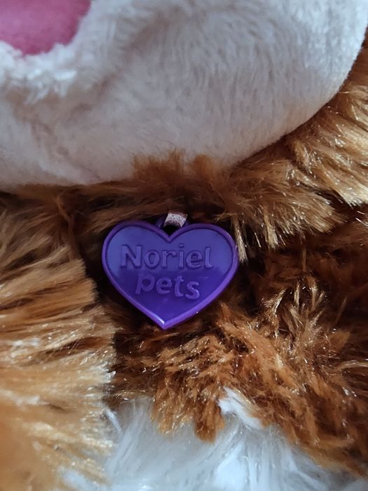 Maimuță plus Moki ce chicoteste și da din mâini