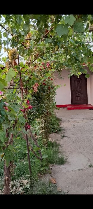 Срочно Жетсаи центр 4ком барачныи угловой большой огороды кухнясы Бар